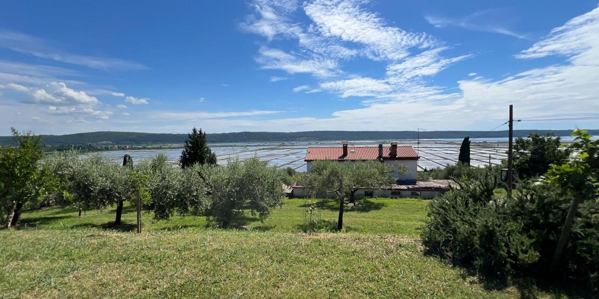 Blue Horizon Apartments Seca Порторож Екстер'єр фото