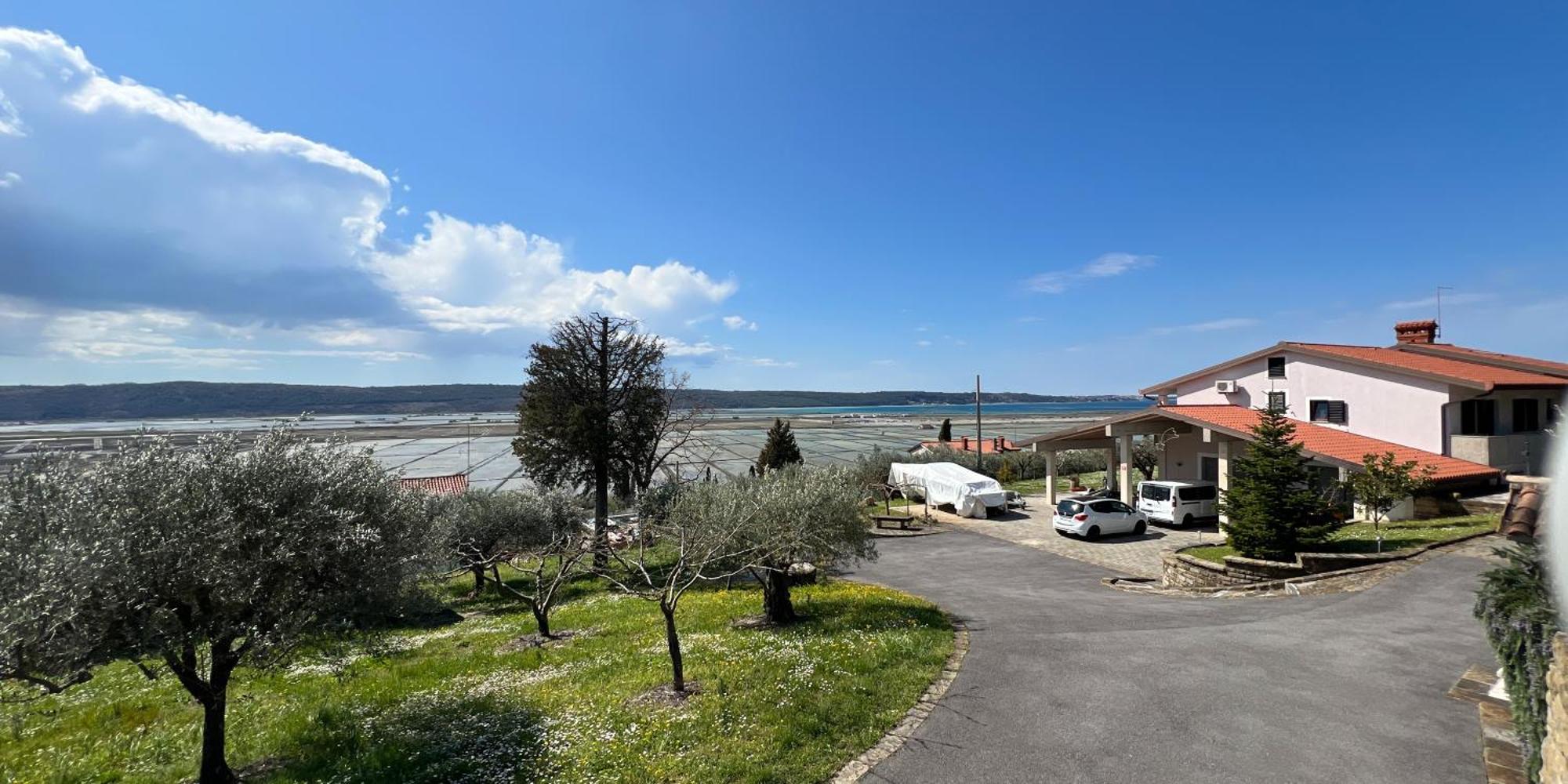 Blue Horizon Apartments Seca Порторож Екстер'єр фото