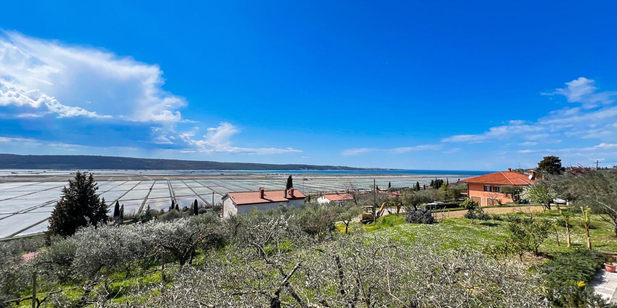 Blue Horizon Apartments Seca Порторож Екстер'єр фото